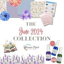Load image into Gallery viewer, Color Kitz - The June 2024 Complete Bundle Collection